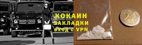 mdpv Богородицк