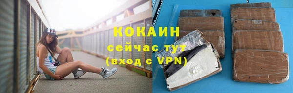 mdpv Богородицк