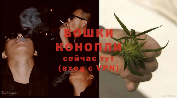 шишки Богданович