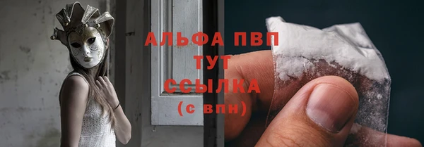mdpv Богородицк