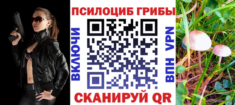 купить наркоту  Устюжна  Галлюциногенные грибы MAGIC MUSHROOMS 